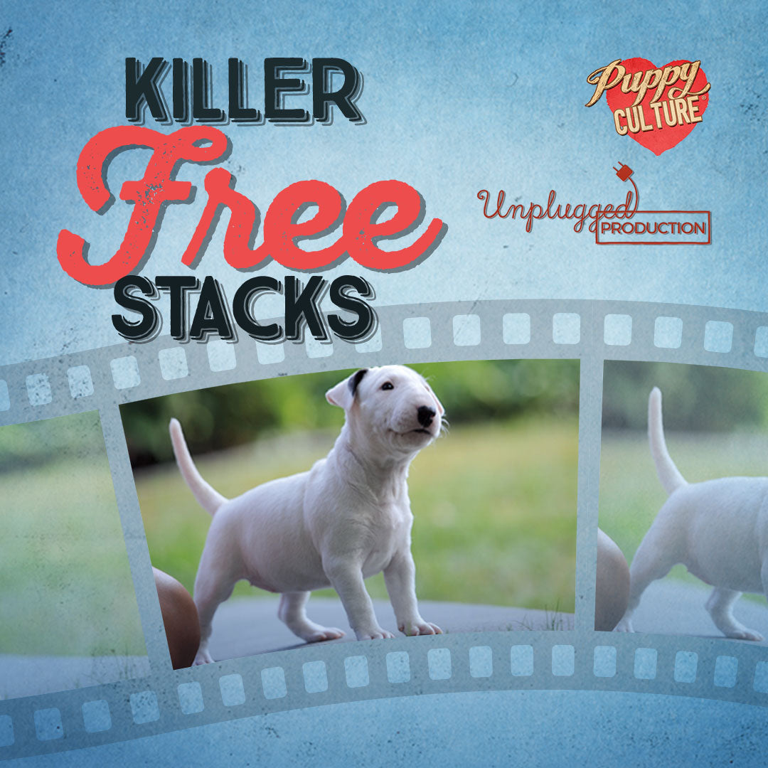 Killer Free Stacks – PUPPY CULTURE
