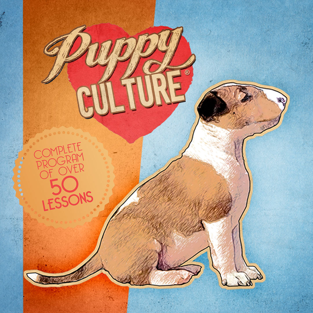 Puppy clearance culture training