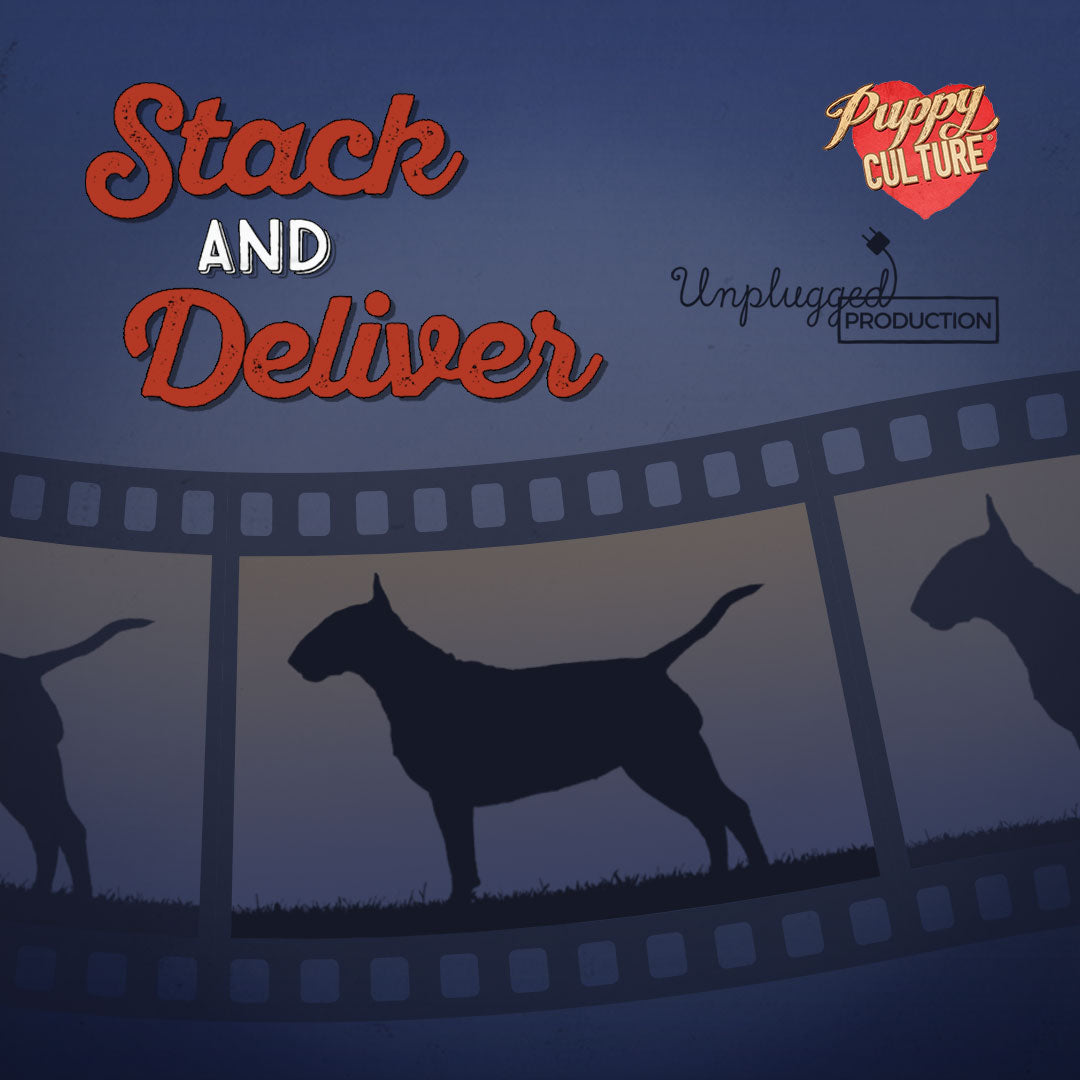 Stack and Deliver – PUPPY CULTURE