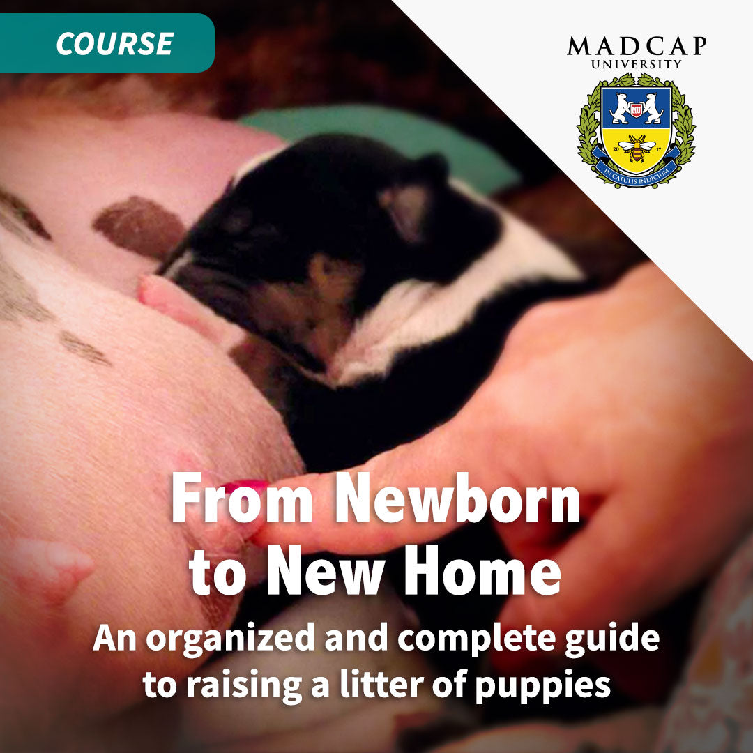 From Newborn to New Home – PUPPY CULTURE
