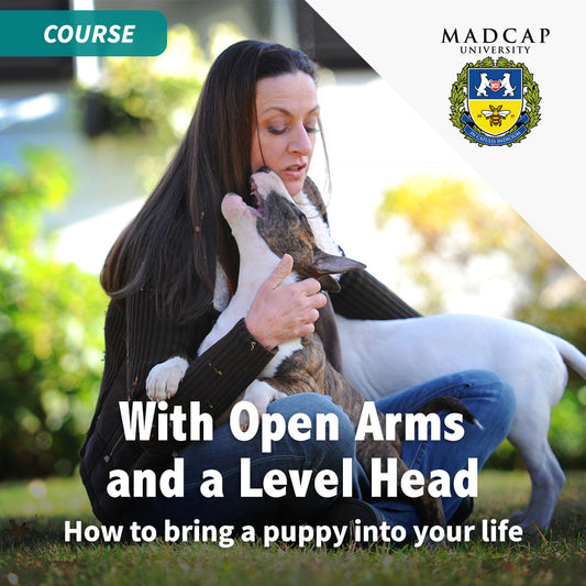 With Open Arms and a Level Head