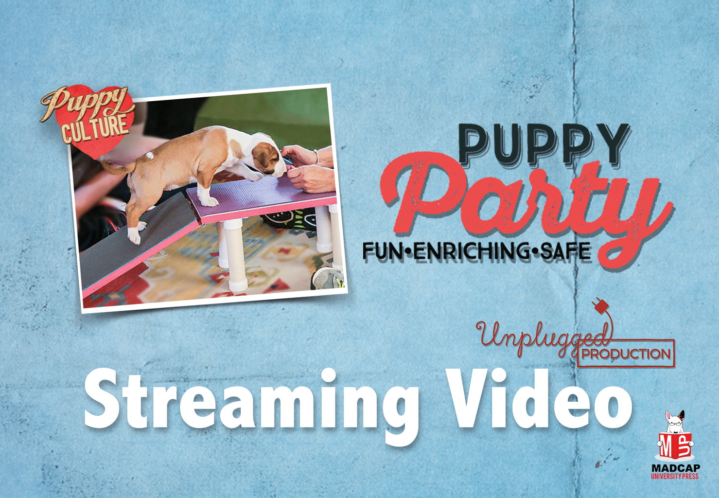 Puppy Scent Games - Lifetime Access (Video on Demand) – PUPPY CULTURE