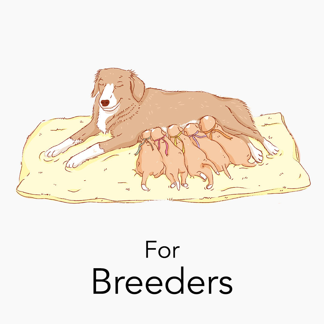 Bundle [original collection] breeders – PUPPY CULTURE
