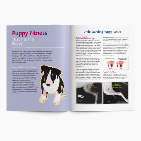 Puppy Culture Exercise Booklet