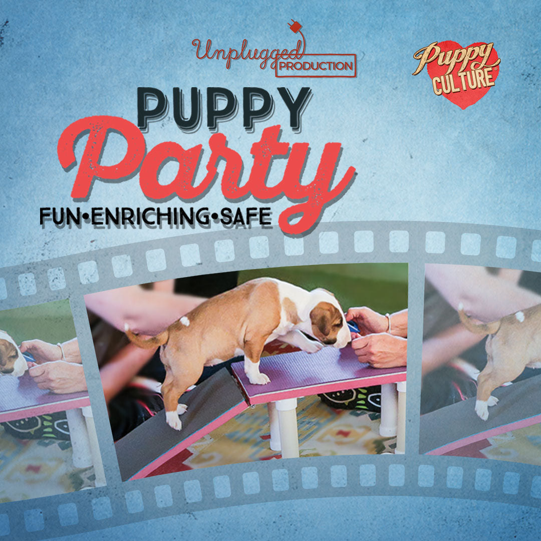 Full Power of Puppy Culture – Show Package