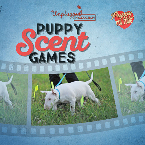Puppy Scent Games