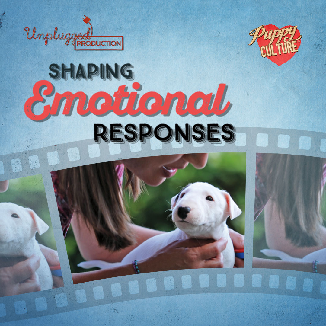 Shaping Emotional Responses – PUPPY CULTURE