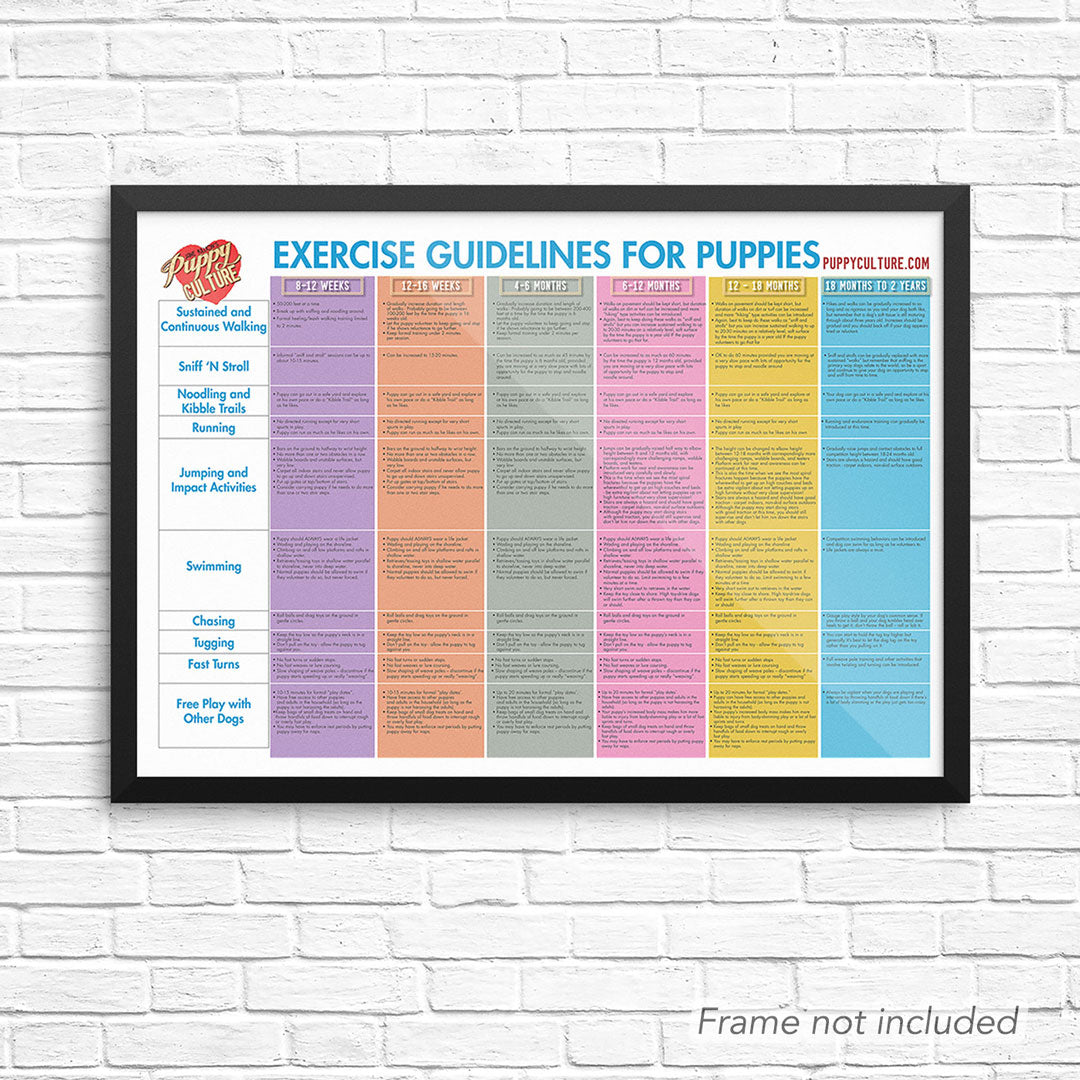 Puppy Culture Age Appropriate Exercise Poster