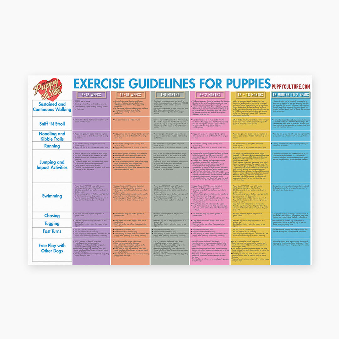 Exercise Guide