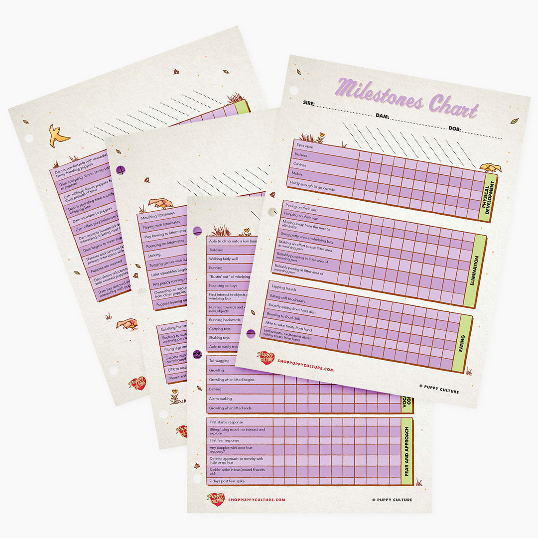 Chart and Worksheet Refill Sheet for Puppy Culture Workbook