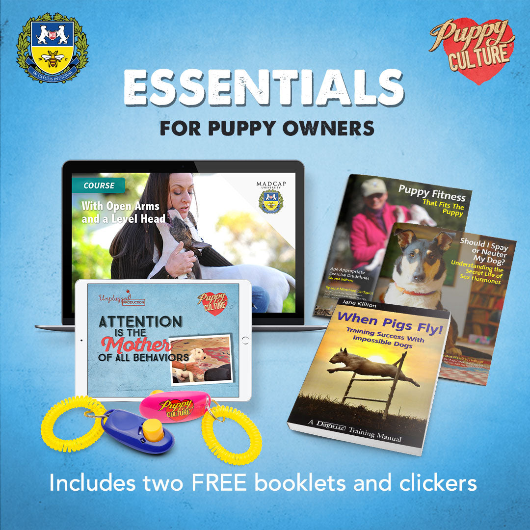 Essentials for Puppy Owners