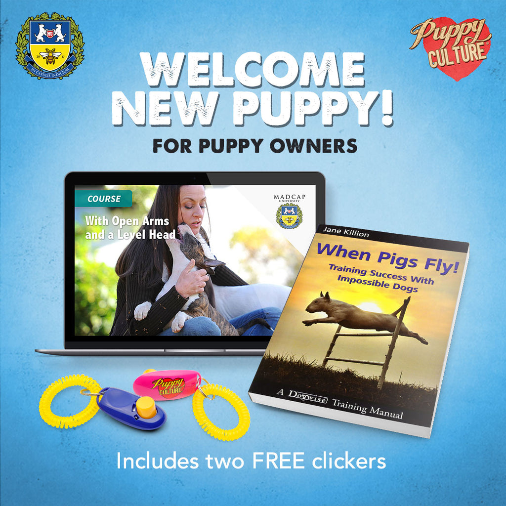 Welcome, New Puppy! – PUPPY CULTURE