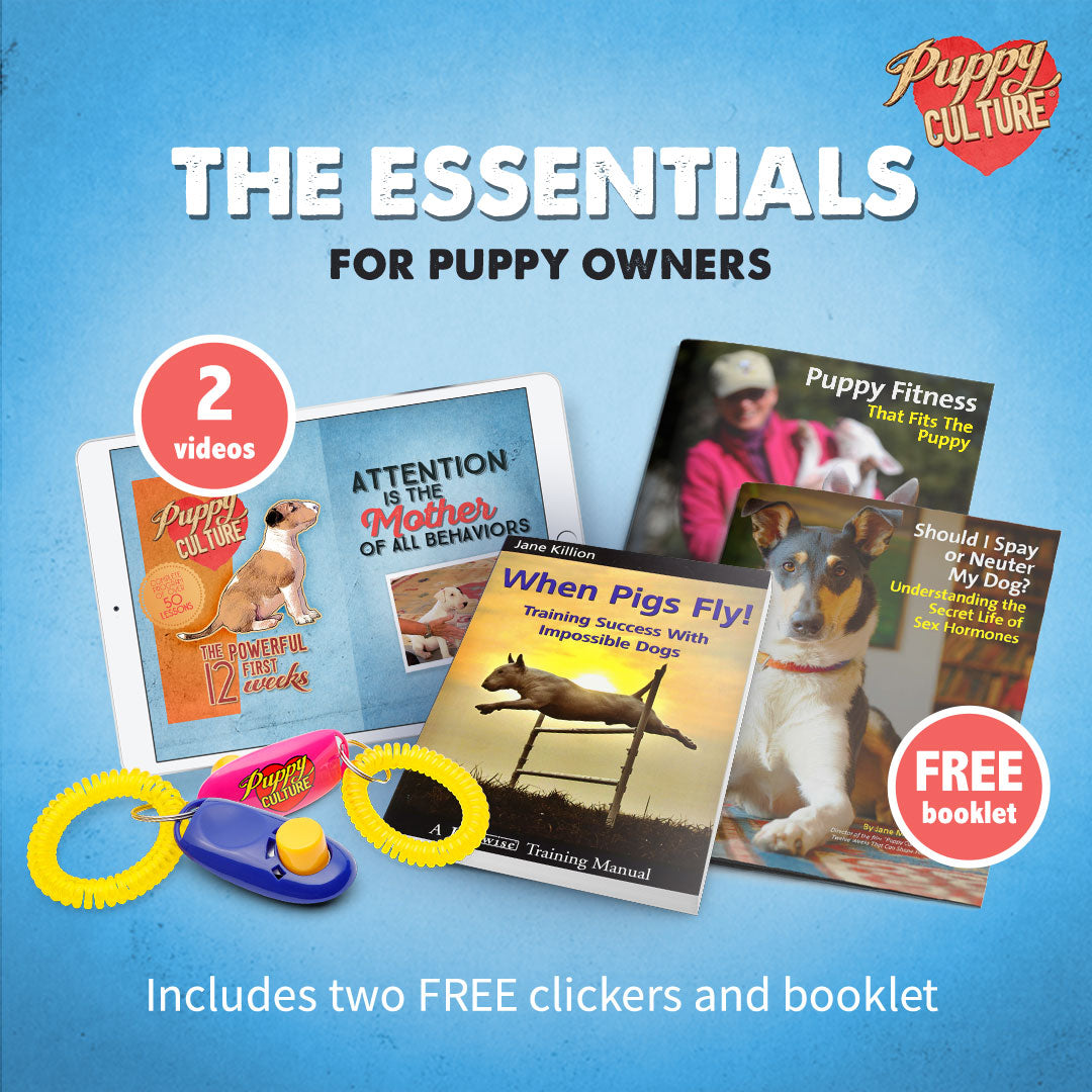 The Essentials Bundle - For Puppy Owners