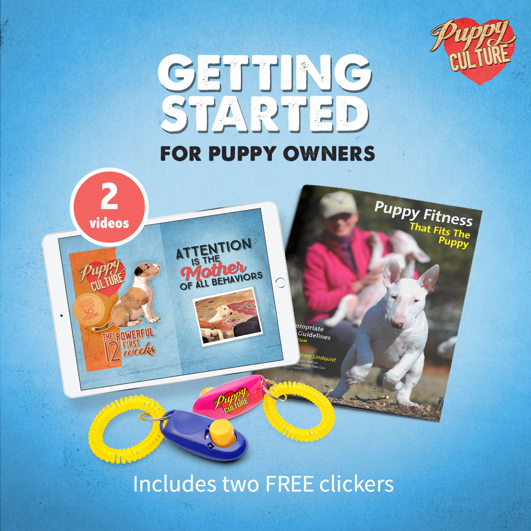The Getting Started Bundle - For Puppy Owners