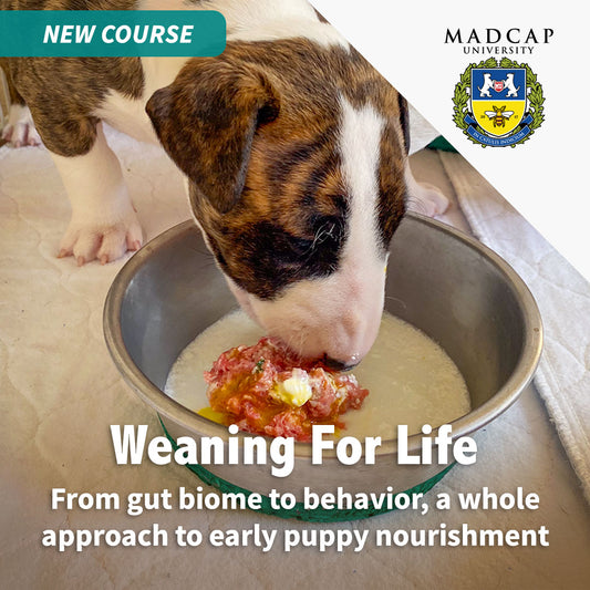 Weaning For Life