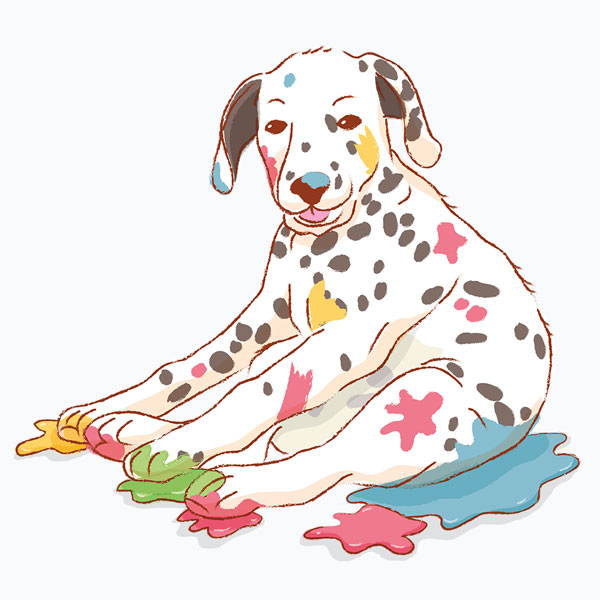 White Dalmatian puppy