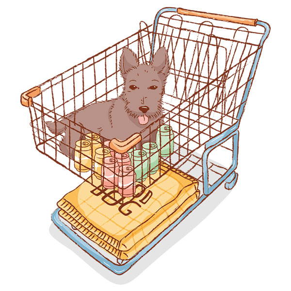 Puppy in shopping cart