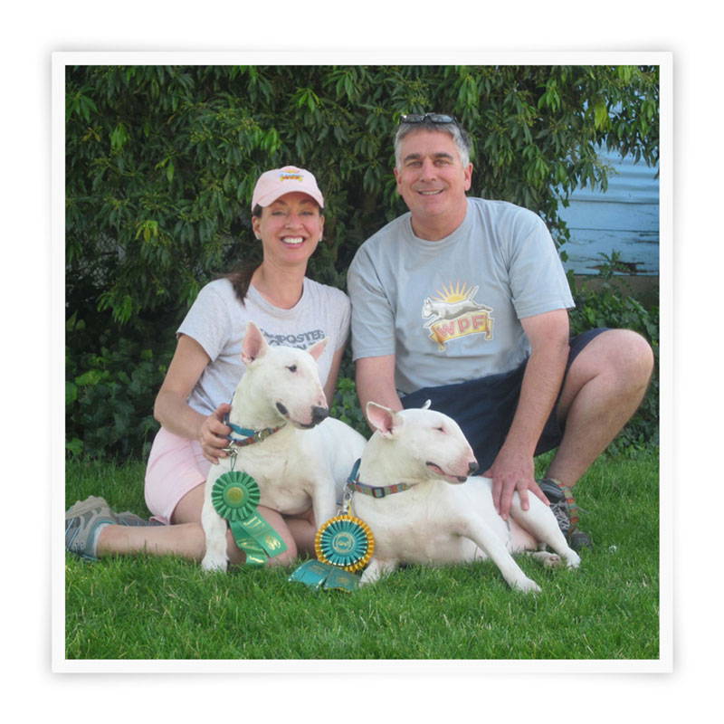Jane and Mark with two Bull Terriers