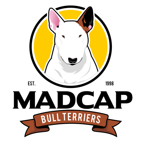 Madcap Bull Terriers logo