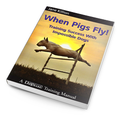 The When Pigs Fly book