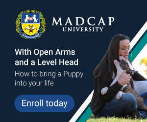 Madcap University banner: With Open Arms and a Level Head, Enroll today