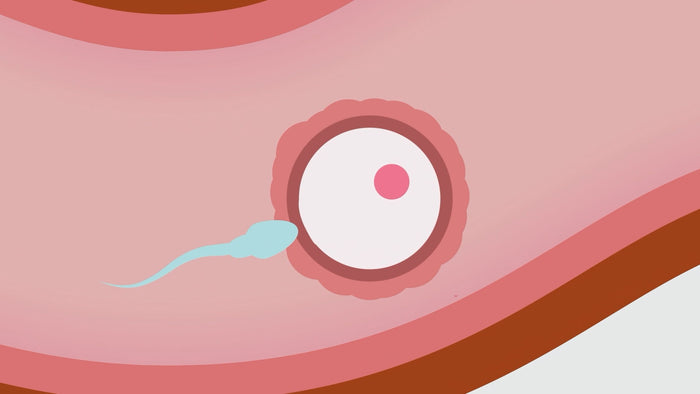 Course cover: Demystifying Ovulation Timing