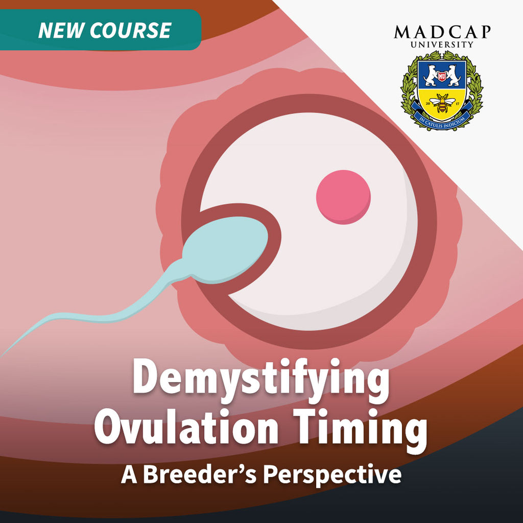 Demystifying Ovulation Timing