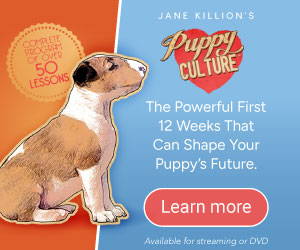 Puppy Culture banner: the powerful first 12 weeks that can shape your puppy’s future, Learn more