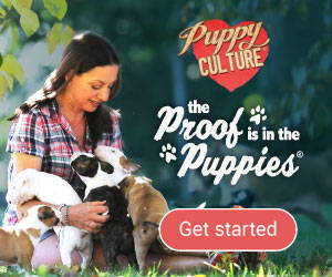 Puppy Culture banner: the Proof is in the Puppies, Get started