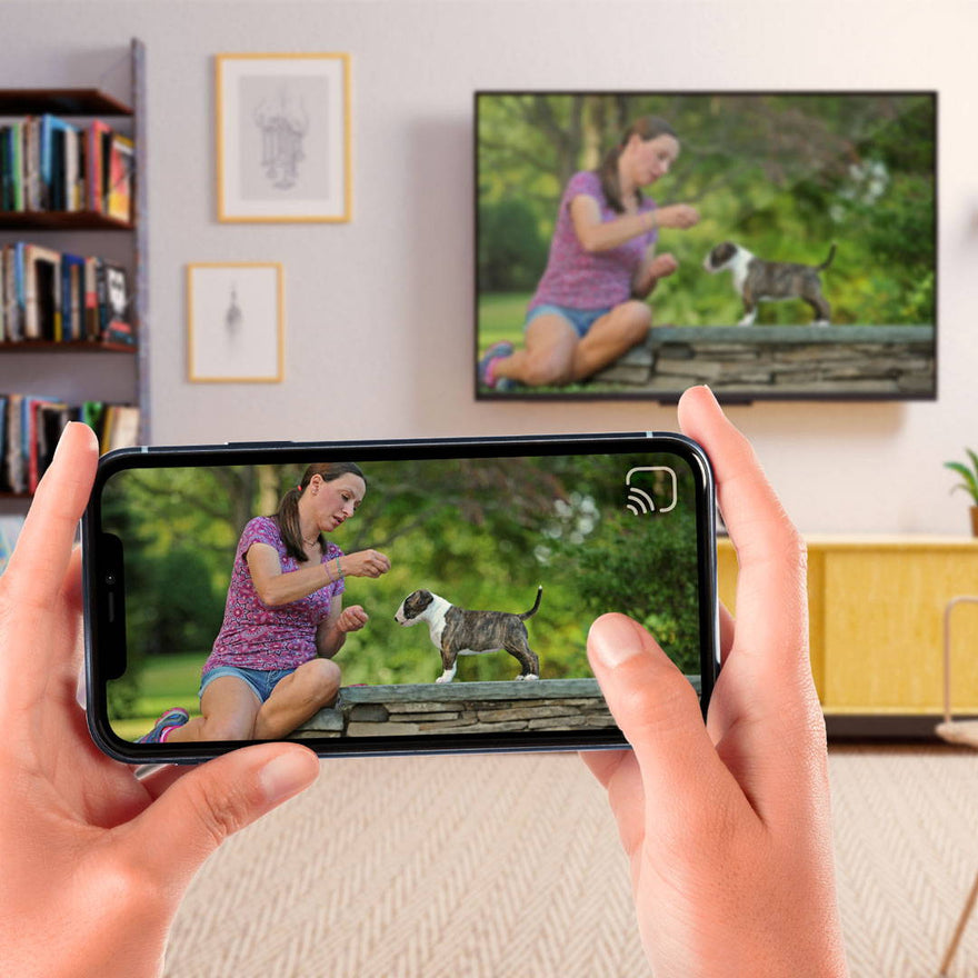 A phone held sideways playing a Puppy Culture video that is cast to a TV on the wall