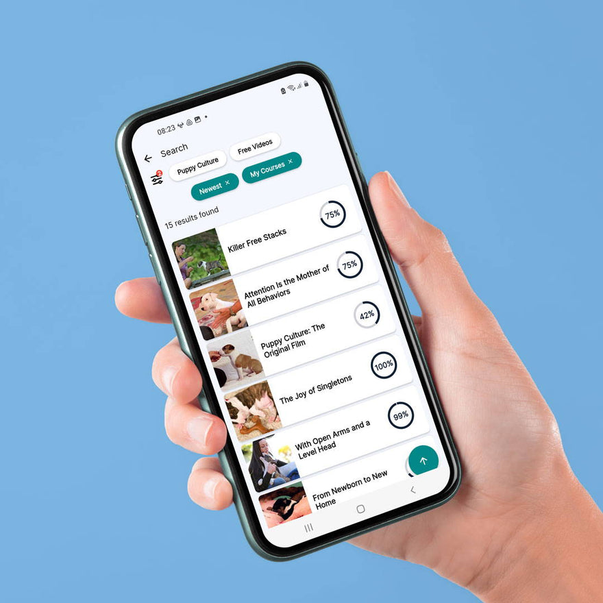 A hand holding a phone that shows a list of Puppy Culture films and courses in the Madcap University app