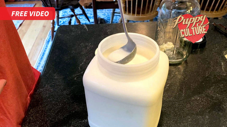 A ladle lifting kefir from a white tub on a counter, beside a glass jar