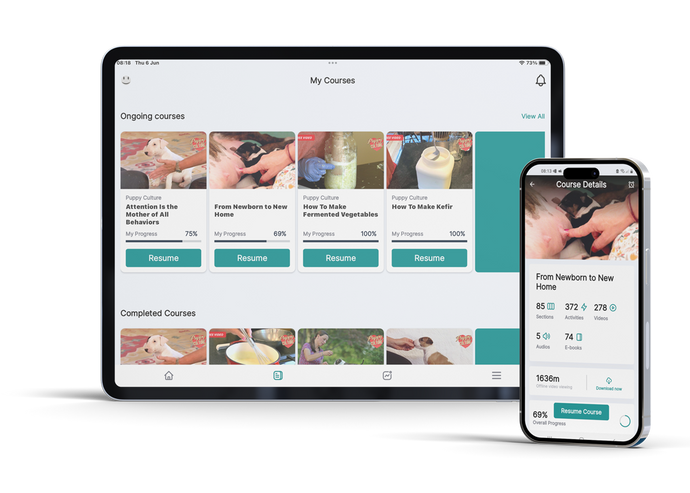 The Madcap University app on a tablet and a phone, showing a list of courses and the details of one course