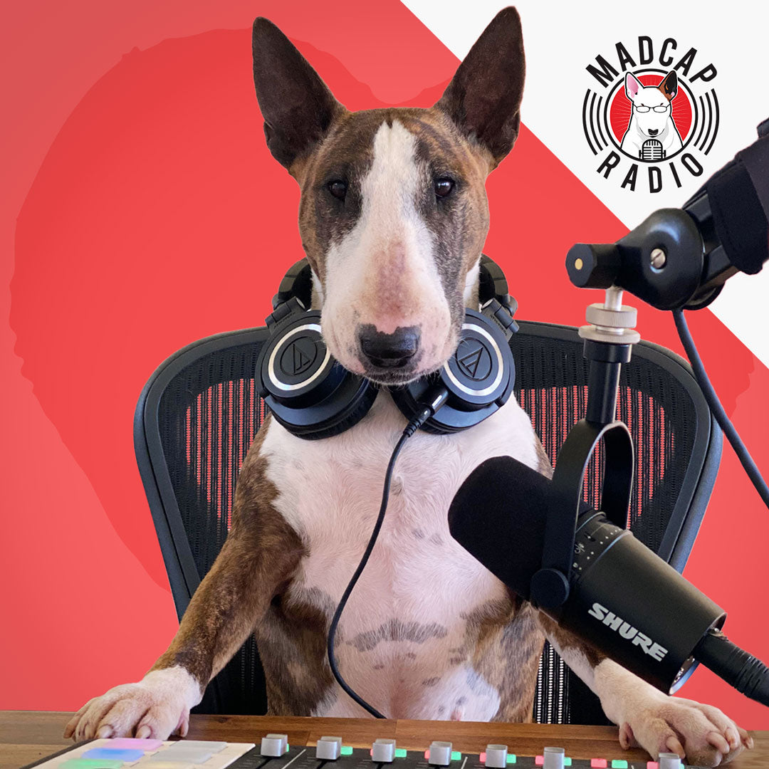 A Bull Terrier wearing headphones at a microphone, with the Madcap Radio logo