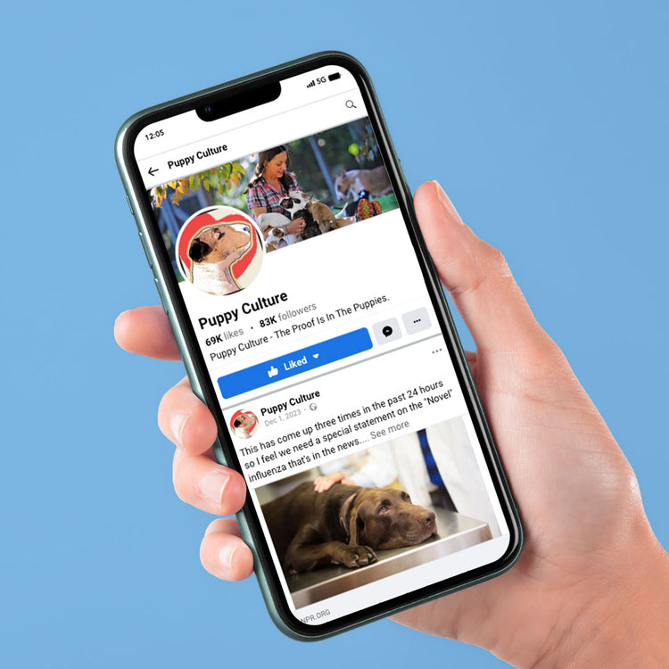 A hand holding a phone that shows the Puppy Culture Facebook page