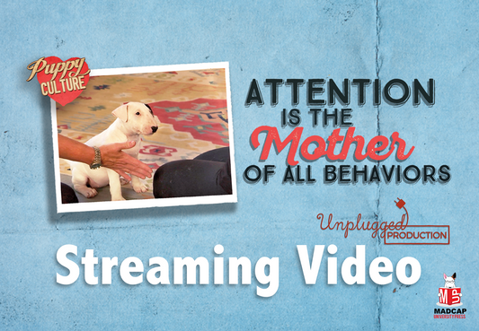 Attention Is the Mother of All Behaviors  - Lifetime Access (Video On Demand)