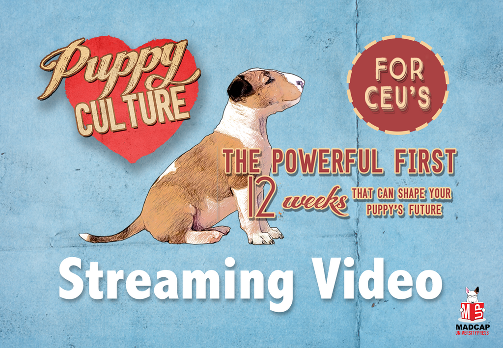 Puppy Scent Games - Lifetime Access (Video on Demand) – PUPPY CULTURE