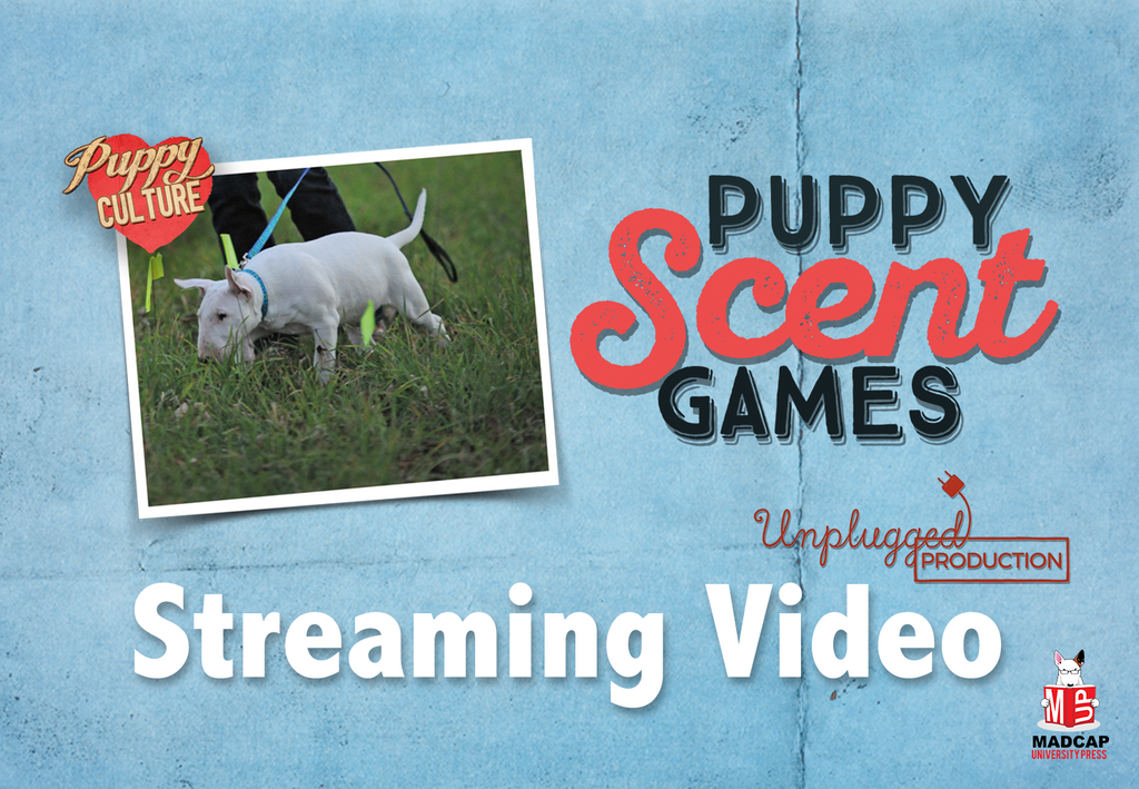 Puppy Scent Games - Lifetime Access (Video on Demand)