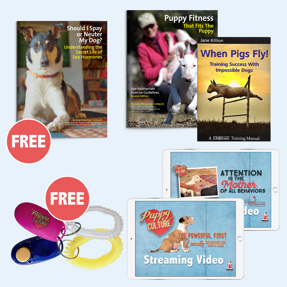 The Essentials Bundle - For Puppy Owners - Lifetime Access (Video on Demand)