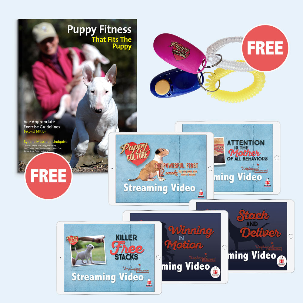 The Rockstar Show Puppies Bundle - For Puppy Owners - Lifetime Access (Video on Demand)
