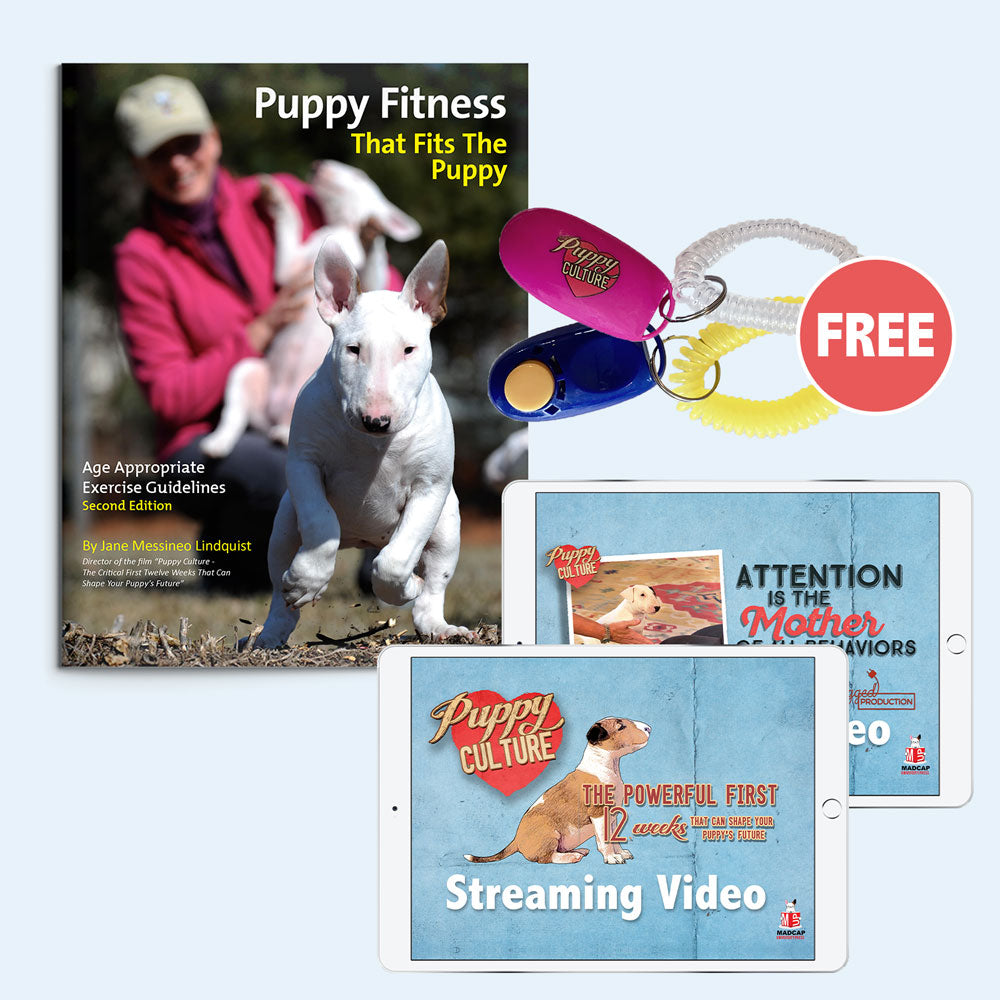 The Getting Started Bundle - For Puppy Owners - Lifetime Access (Video on Demand)